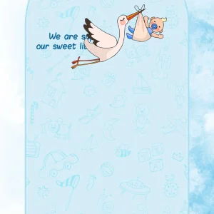 Sweet Little Arrival Baby Shower Invitation